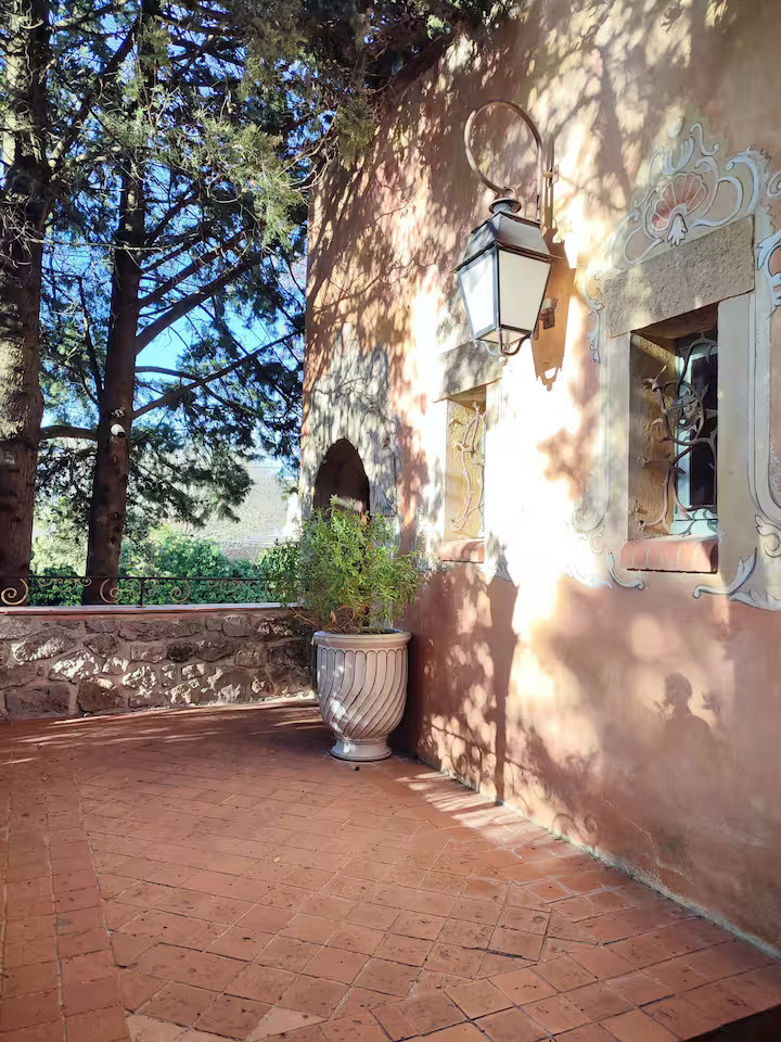 Terrasse ensoleillée avec mur et arbres ombragés.