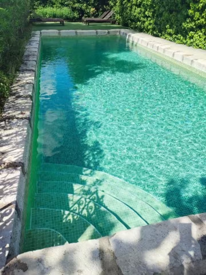 Piscine extérieure entourée de verdure et transats.